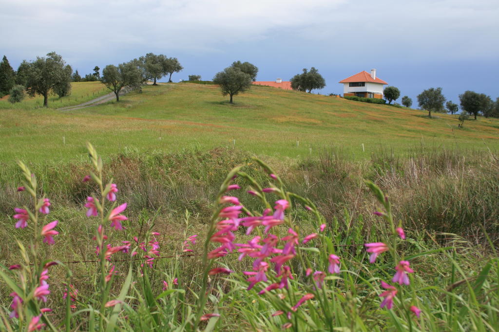 Monte da Pedra Alva O Vale Da Mudanca 빌라 객실 사진